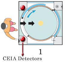 CEIA detection gate operation