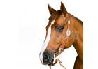 Ultradźwiękowa bariera na kleszcze i pchły dla konia Tickless Horse