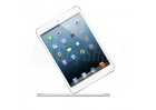 Kontrola sprzętu firmowego w tablecie iPad Air 2 WiFi 64GB z iOS Extreme