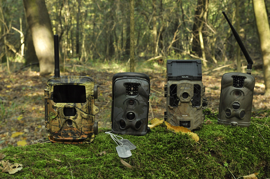 Fotopulapki do lasu w walce z nielegalnym wywozem smieci