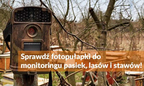 fotopulapki-do-monitoringu-pasiek-lasow-stawow