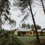 Drewniane domki letniskowe w lesie