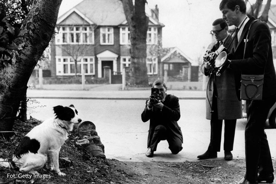 Pies Pickles siedzi obok miejsca, w którym znalazł skradzioną Złotą Nikę. Fotoreporterzy robią mu zdjęcia.