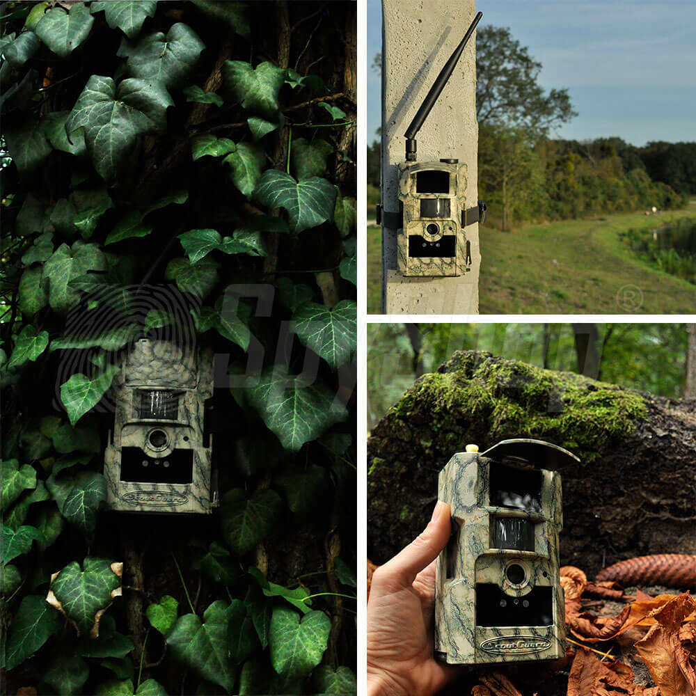 Fotopułapka SG882MK do nadzorowania stawów i lasów